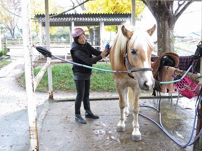 楽しみながら馬の話を真剣に聞く