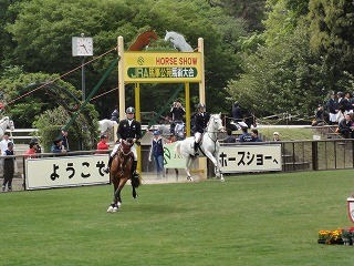 馬事公苑ホースショー