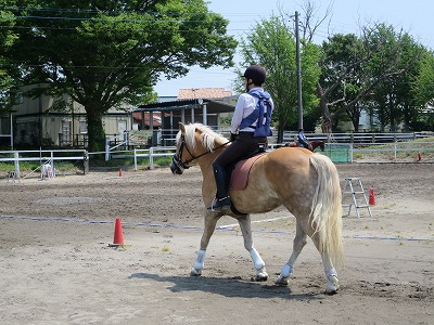 乗馬の練習方法