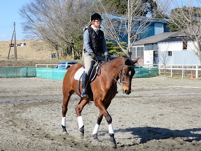 乗馬上達の秘訣