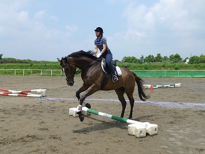 楽しい乗馬でリラックス！