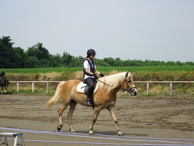 馬とハッピー