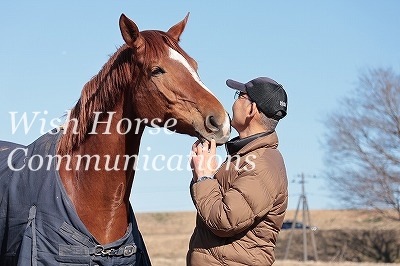 馬とのコミュニケーション