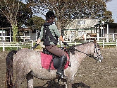 馬のお尻をポムポムしよう