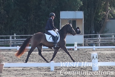馬を仲間のように接する乗馬
