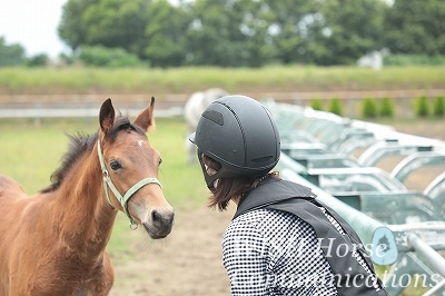 馬を大切にする乗馬