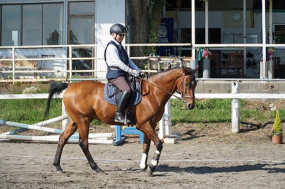 人にも馬にもできる気持ちになってもらいたい