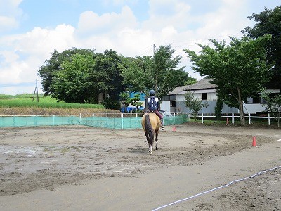 自分の馬術を探そう