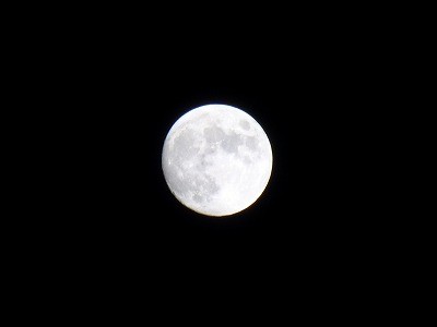 仲良し丸々おしり