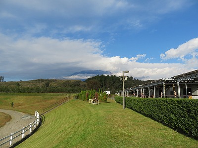 この時富士山は雲に隠れていました、惜しい！
