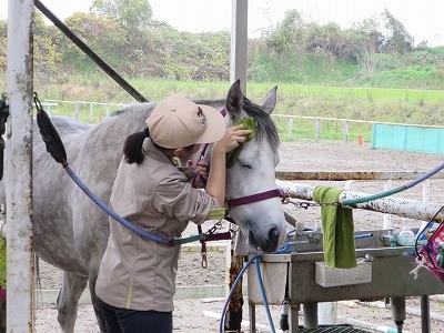 本気で楽しい乗馬