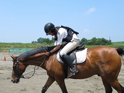 優しい馬と楽しいひとときを