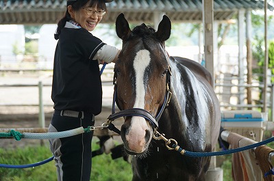 馬に好かれるには、当たり前のことをしっかりやること