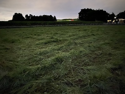 草刈り