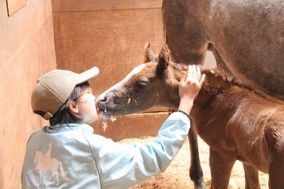 子馬の調教