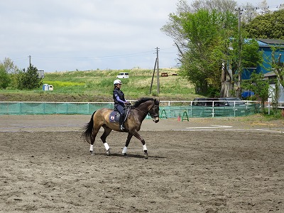 馬の話を聞きながら