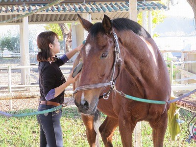 素敵なメンバーさん
