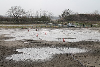 子馬と春と頑張った一日
