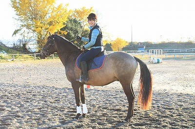 乗馬はスポーツ！しかもチームスポーツ！