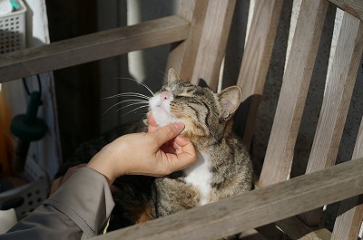 相手にとって何が気持ちいいか
