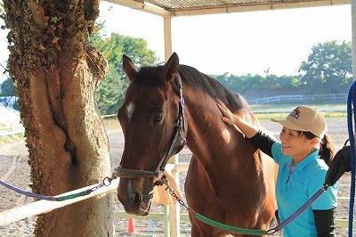 人と馬の美しい関係