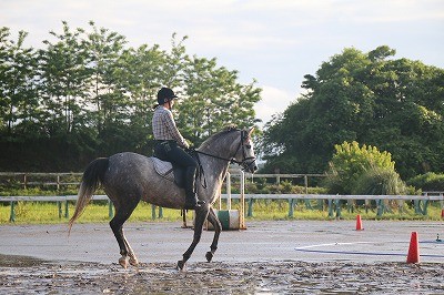 雨上がりの乗馬