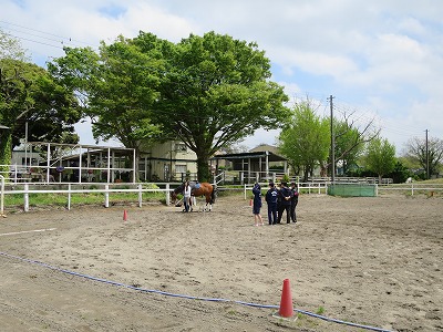 柏南高校馬術部