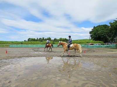 今日は楽しい乗馬の日