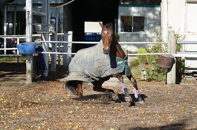 馬達の笑顔