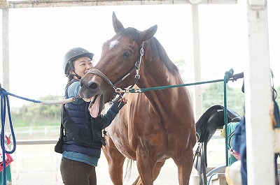 仲が良い馬と人の美しい風景