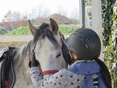 愛する気持ち、馬の喜ぶ顔