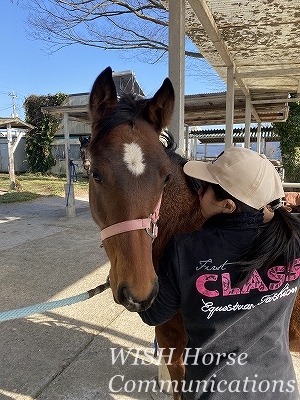 愛情あふれる乗馬