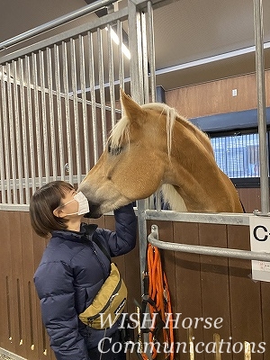 全日本馬場馬術大会