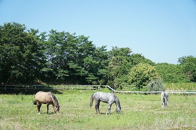 幸せな時間