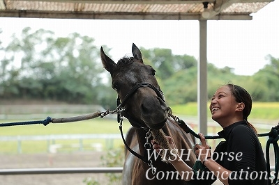 馬と心がつながる乗馬