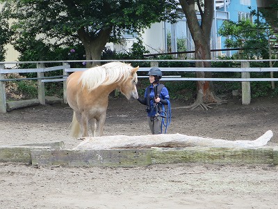 愛馬と遊ぶ