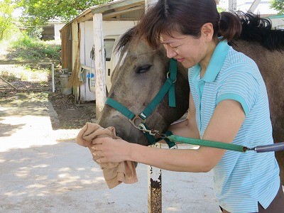 馬と仲良しになる