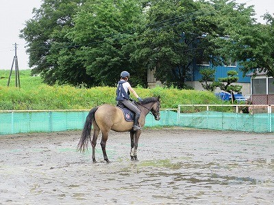 乗馬を楽しく学ぶ！