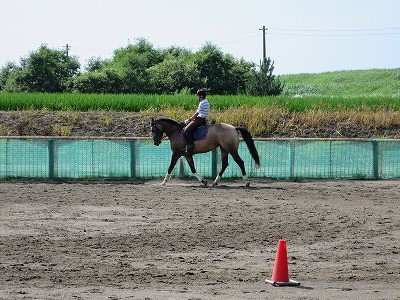 初夏の乗馬