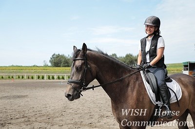 全日本出場馬が続々！