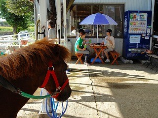 乗馬クラブで楽しい語らいのひととき♪