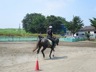 馬とわかりあいたい