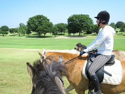 馬が馬に教える