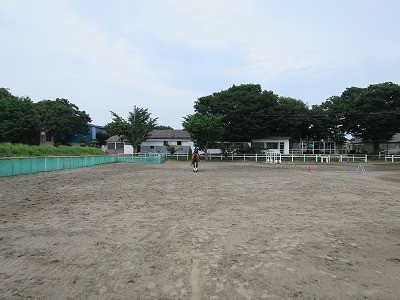 楽しい乗馬の練習