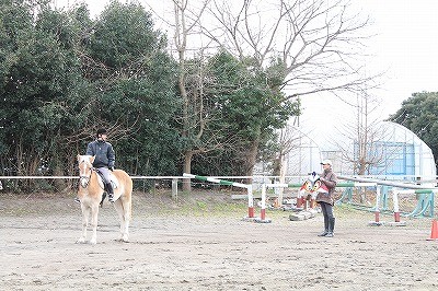 馬と凧揚げ