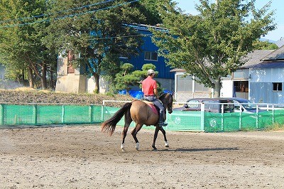 競技会に参加します！