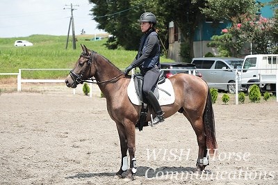 乗馬の将来性