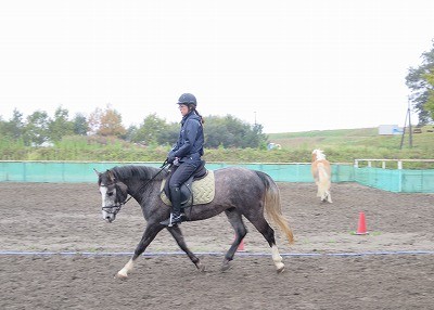 馬の生き甲斐