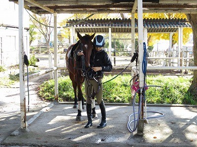 私達は乗馬愛情部！