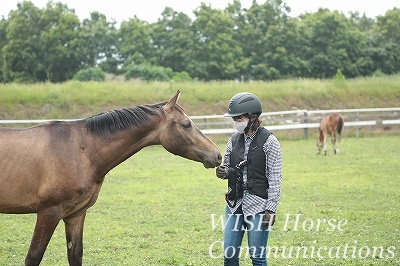 馬を大切にする乗馬